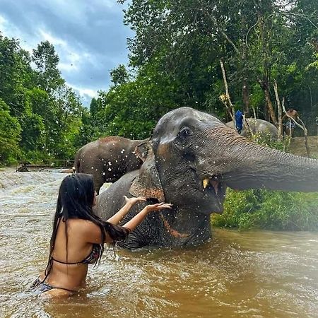 Wild Park Safari Home Stay Udawalawe Zewnętrze zdjęcie