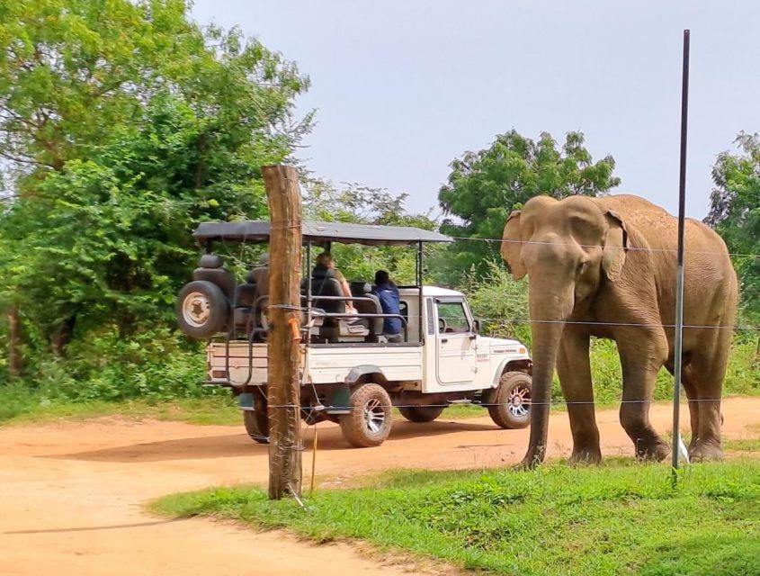 Wild Park Safari Home Stay Udawalawe Zewnętrze zdjęcie