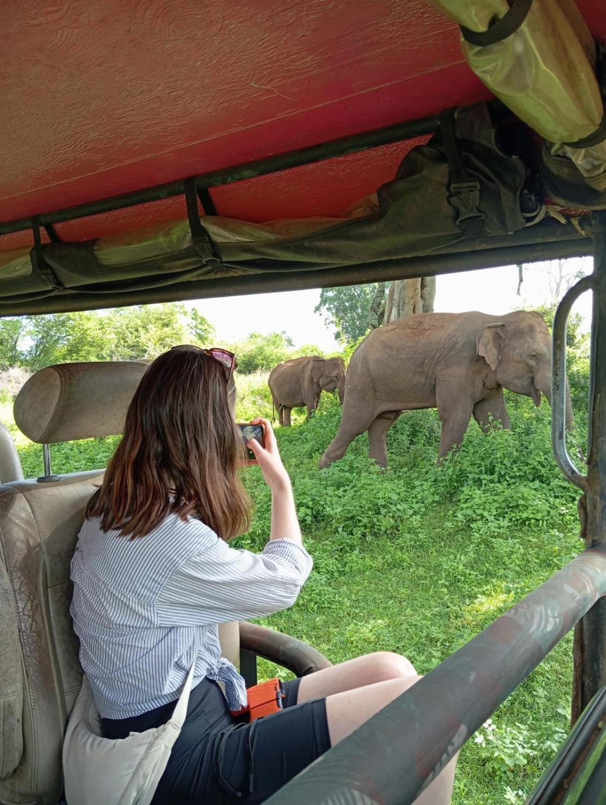 Wild Park Safari Home Stay Udawalawe Zewnętrze zdjęcie