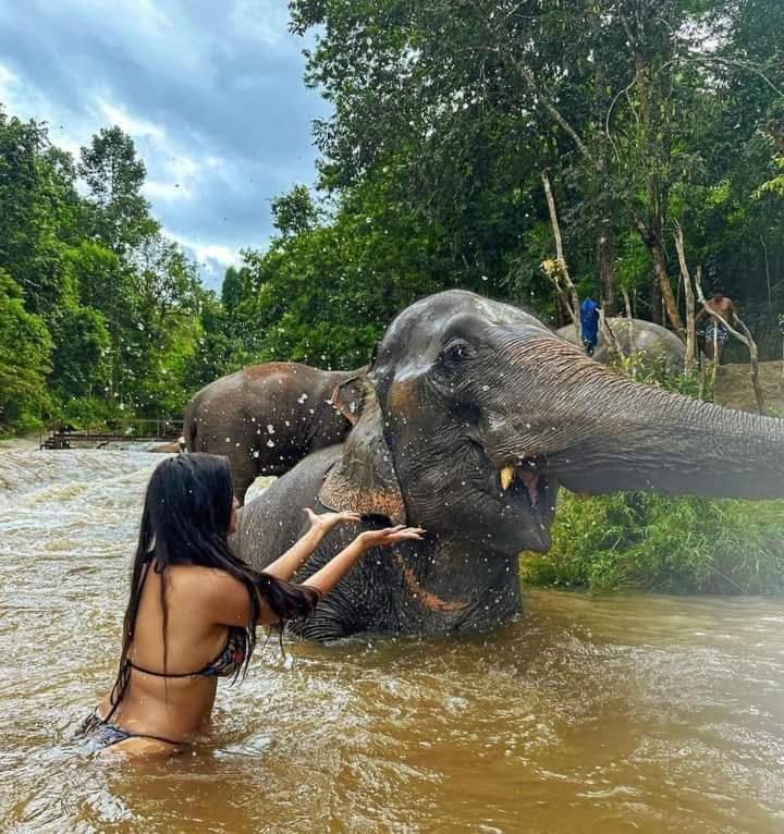 Wild Park Safari Home Stay Udawalawe Zewnętrze zdjęcie