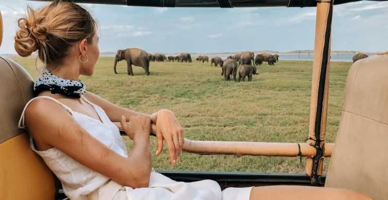 Wild Park Safari Home Stay Udawalawe Zewnętrze zdjęcie