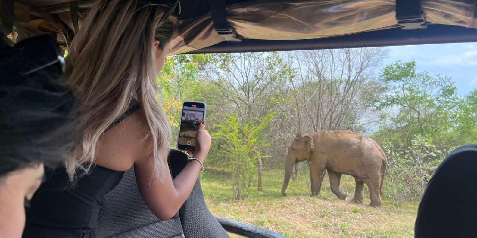 Wild Park Safari Home Stay Udawalawe Zewnętrze zdjęcie